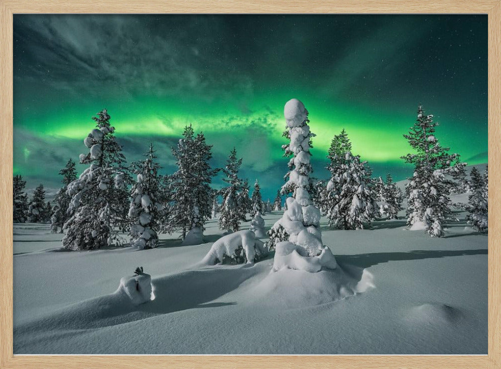 polar night | Poster