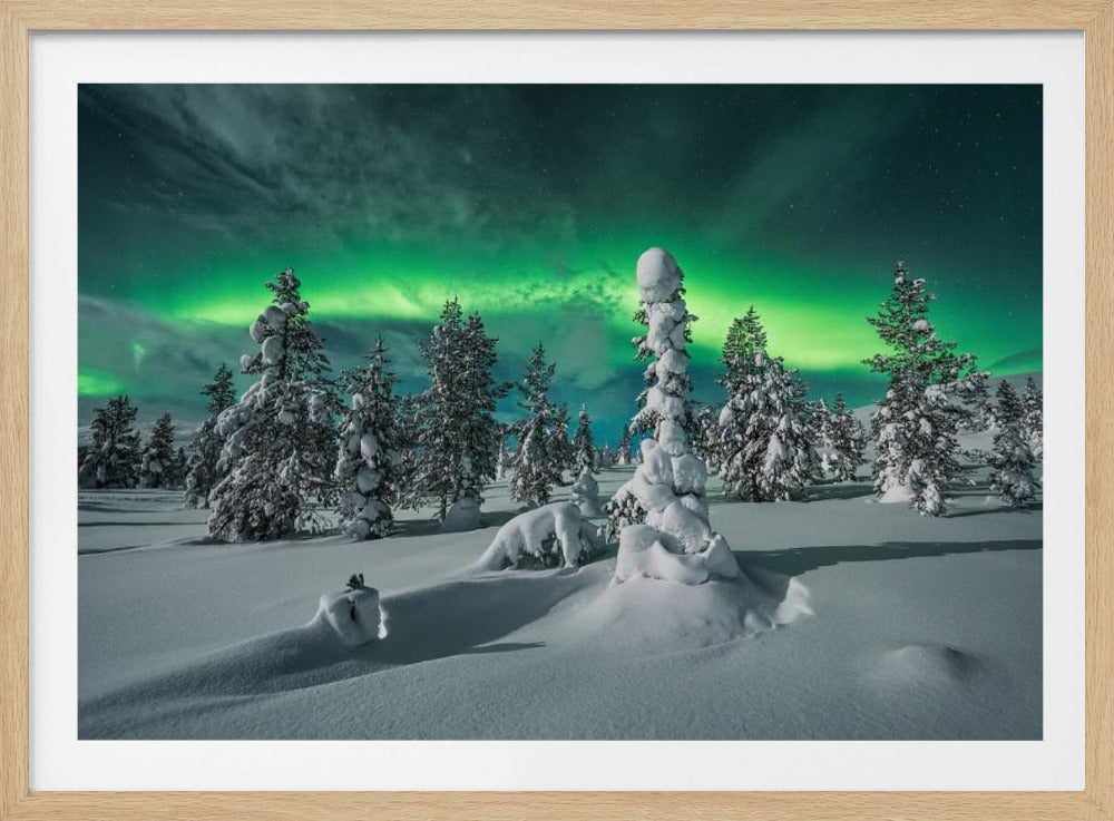 polar night | Poster