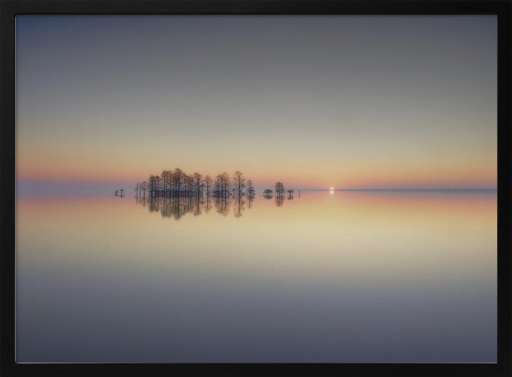 Lake Mattamuskeet Memory | Poster