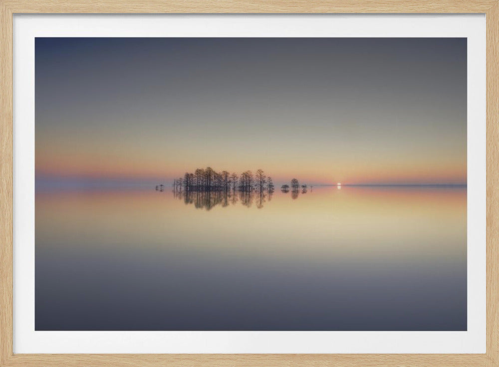 Lake Mattamuskeet Memory | Poster