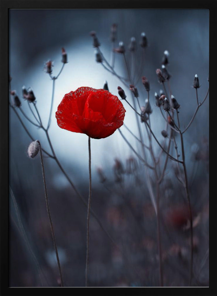 Flower not by kenzo. By me | Poster