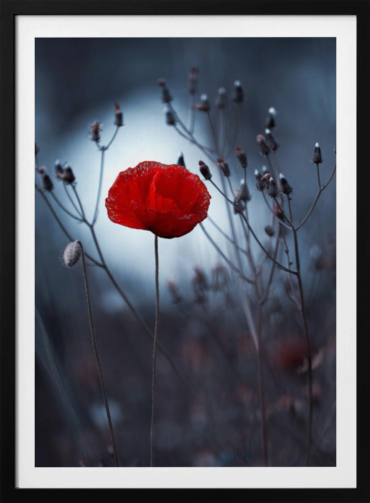 Flower not by kenzo. By me | Poster