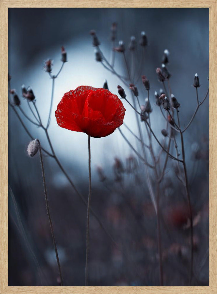 Flower not by kenzo. By me | Poster