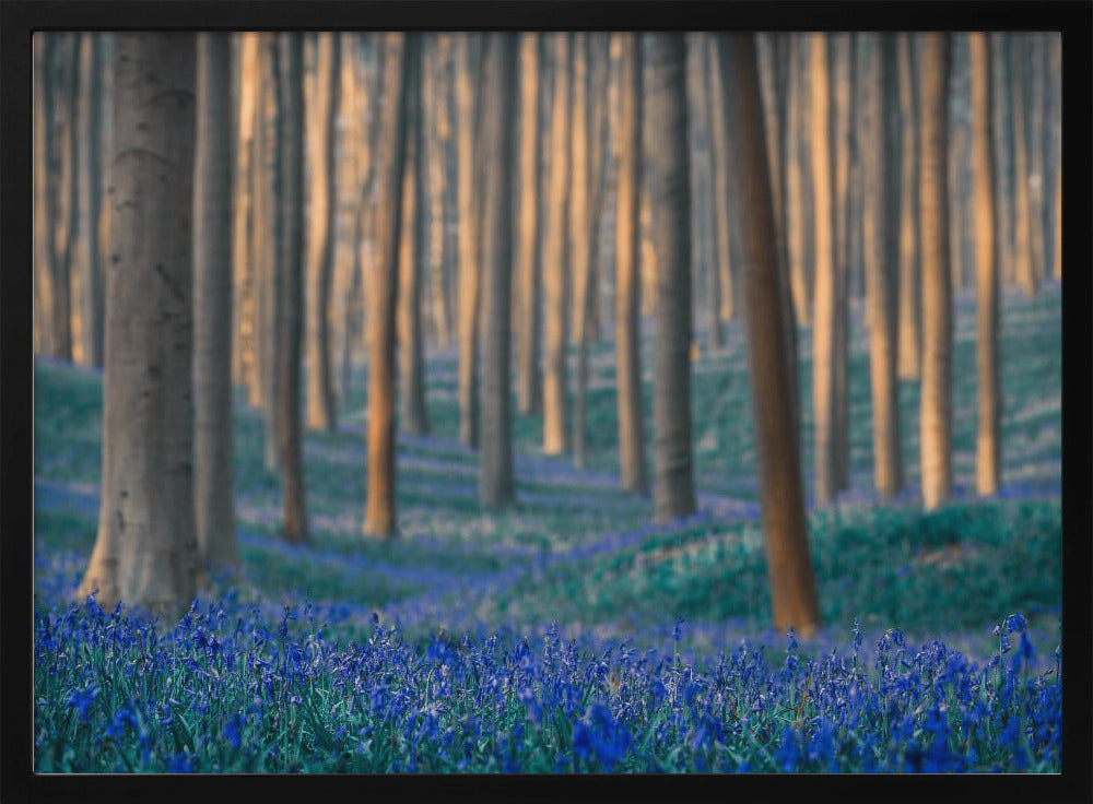 Dreams are made of these | Poster