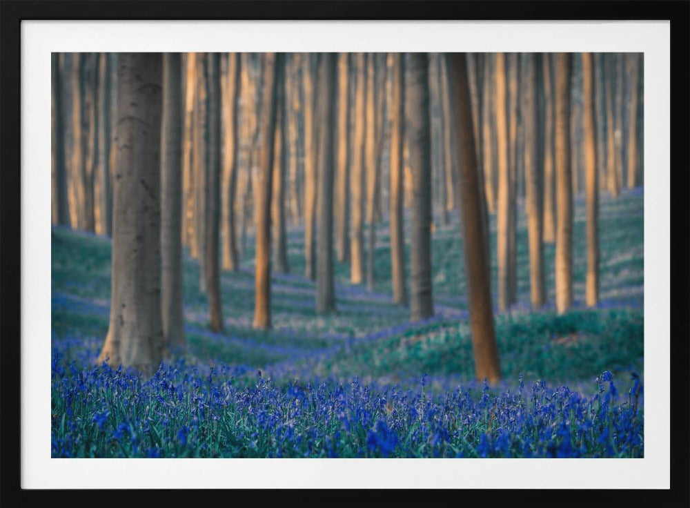 Dreams are made of these | Poster