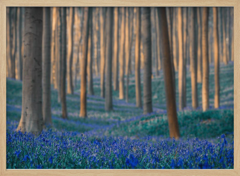 Dreams are made of these | Poster