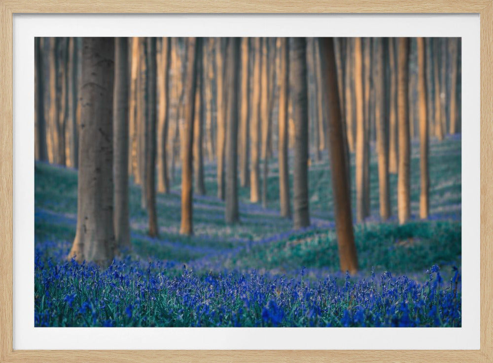 Dreams are made of these | Poster