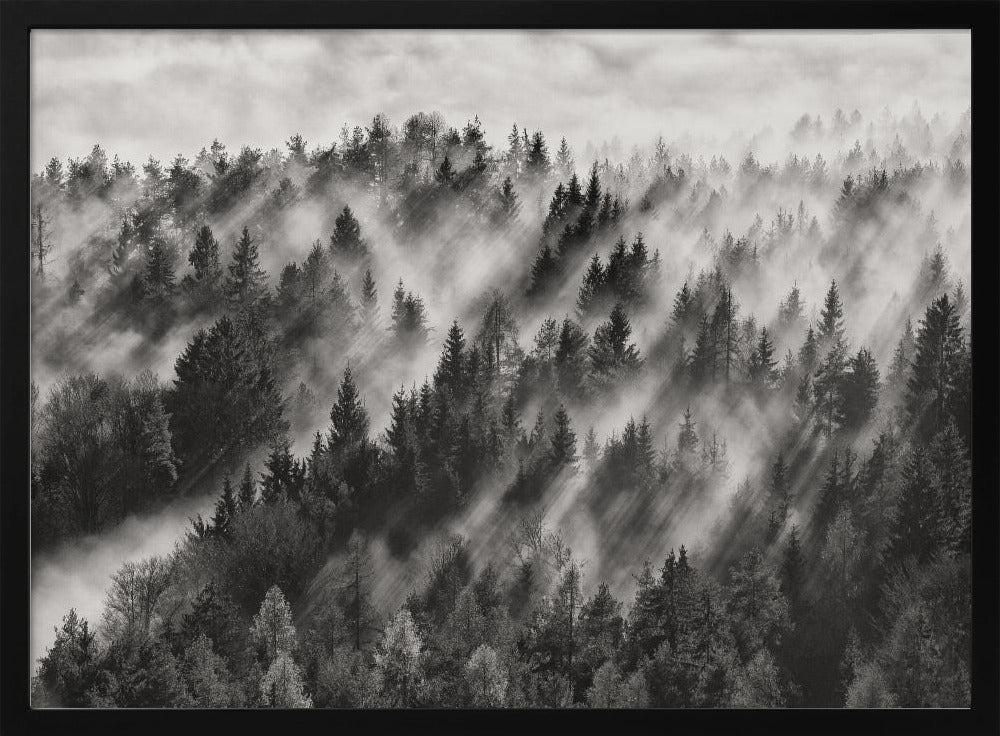 Sundance No.1 | Poster