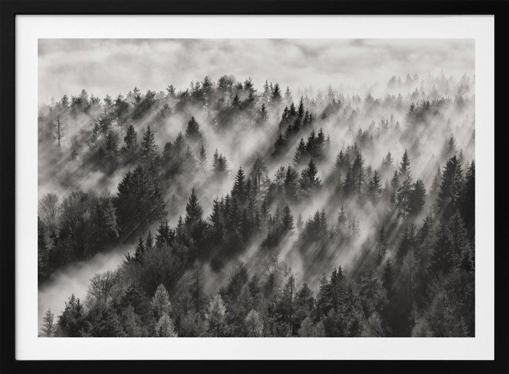 Sundance No.1 | Poster