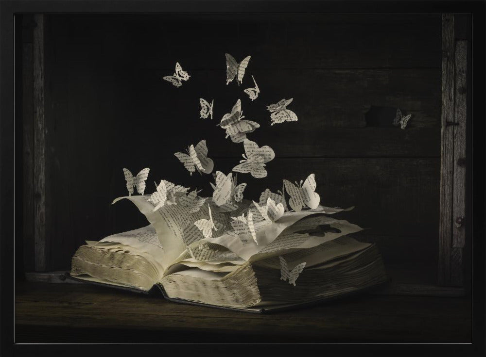 Lepidopterology | Poster