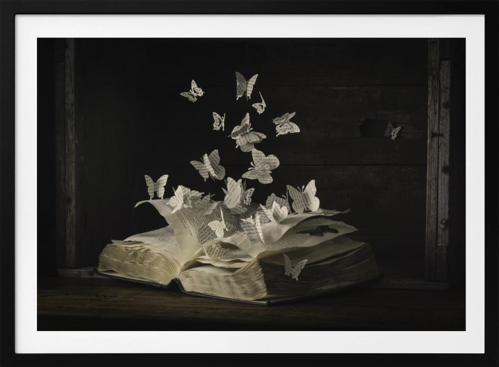 Lepidopterology | Poster