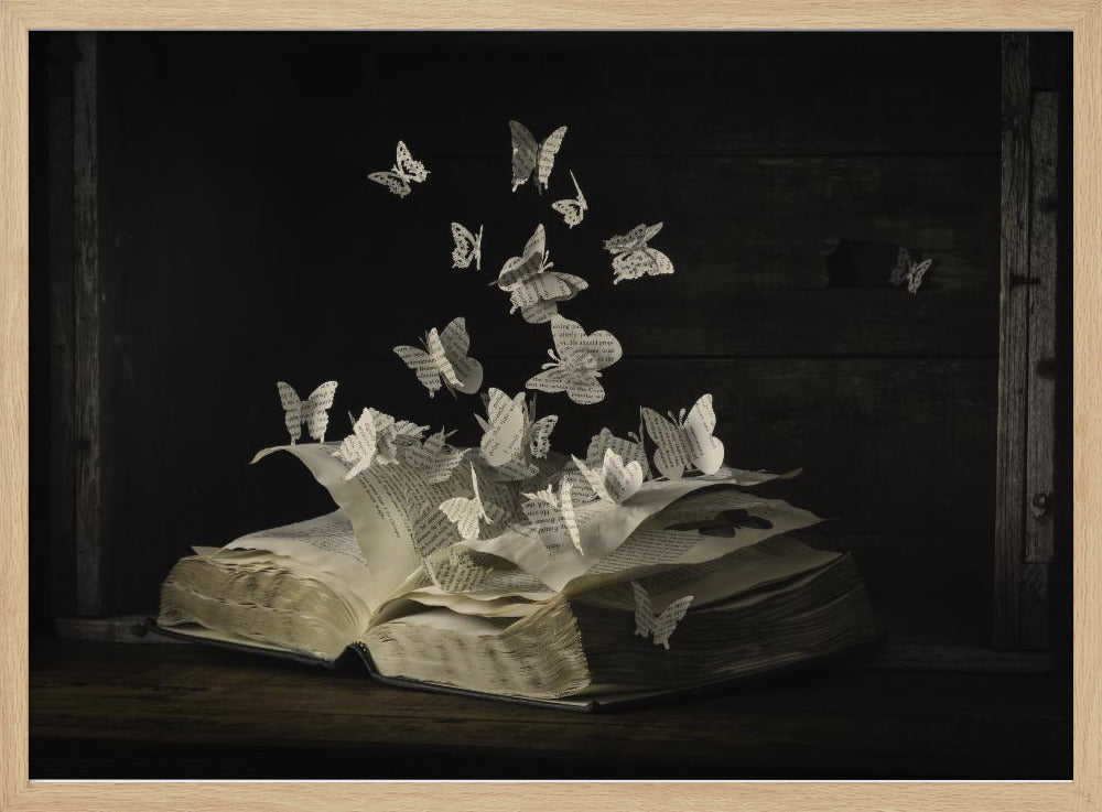 Lepidopterology | Poster