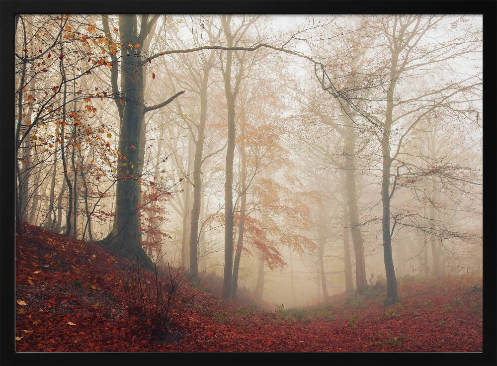 Waiting for the deer. | Poster