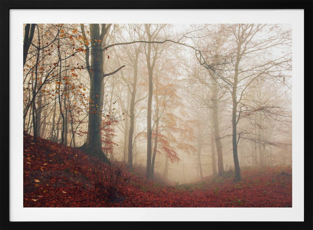 Waiting for the deer. | Poster