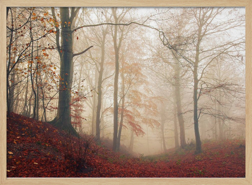 Waiting for the deer. | Poster