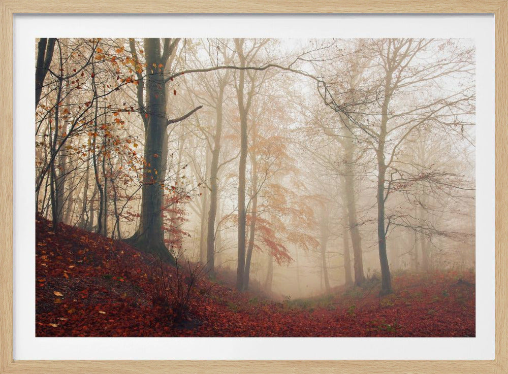 Waiting for the deer. | Poster