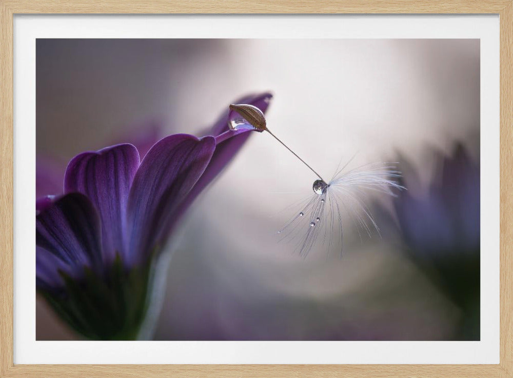 Purple rain | Poster