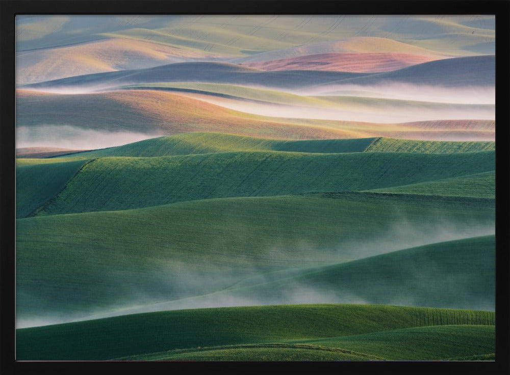 Foggy Morning | Poster