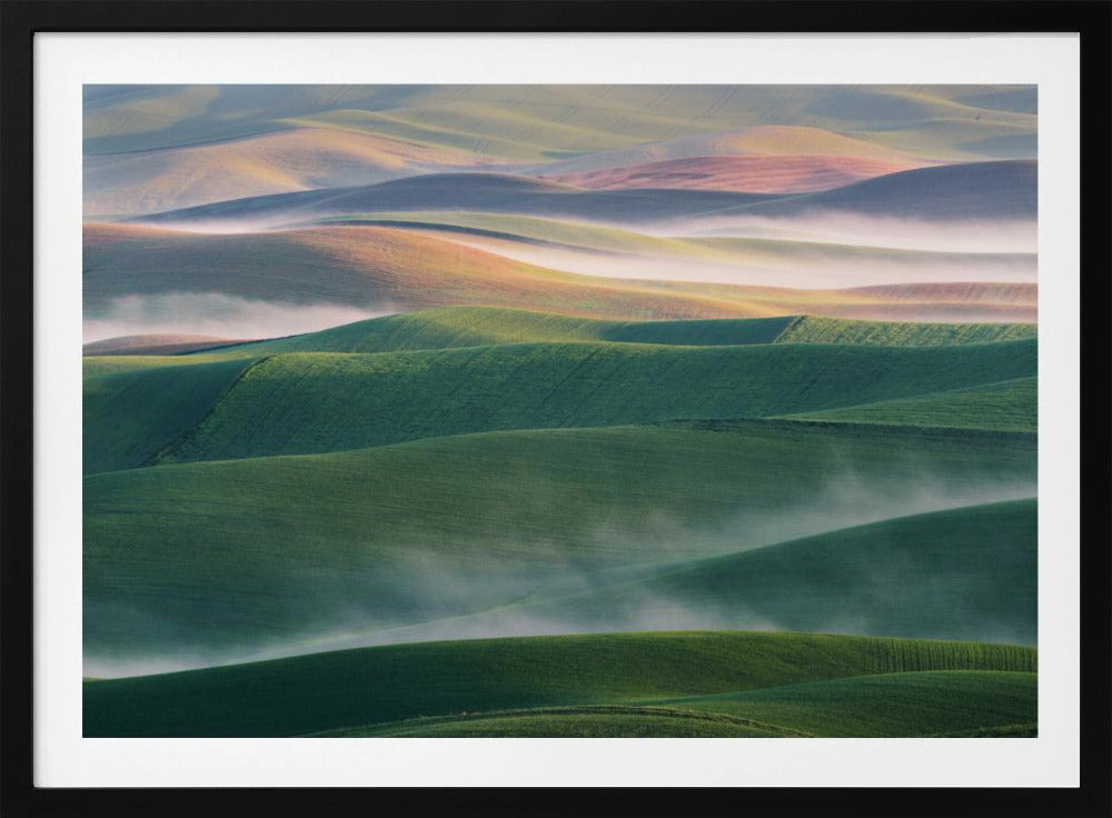 Foggy Morning | Poster