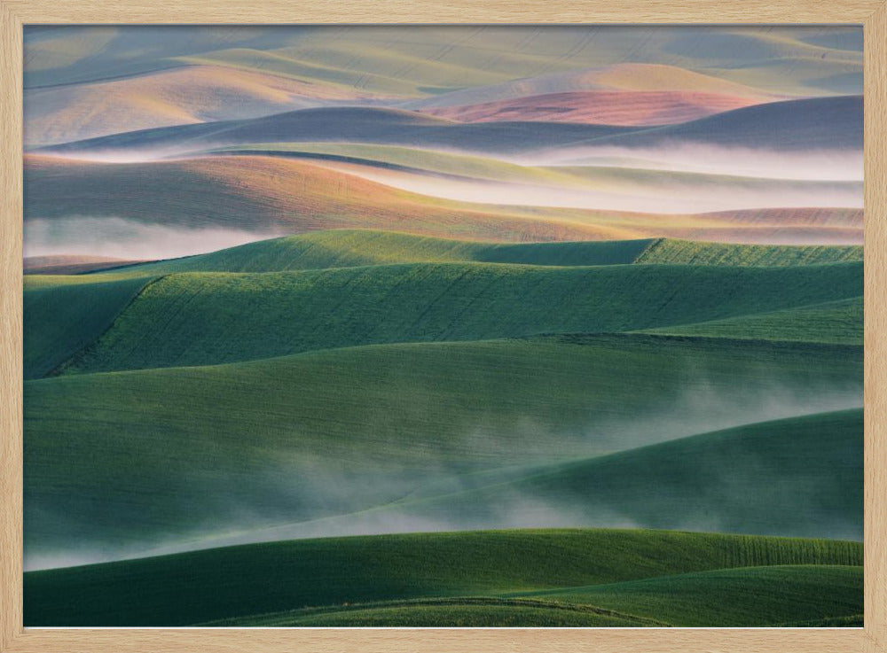 Foggy Morning | Poster