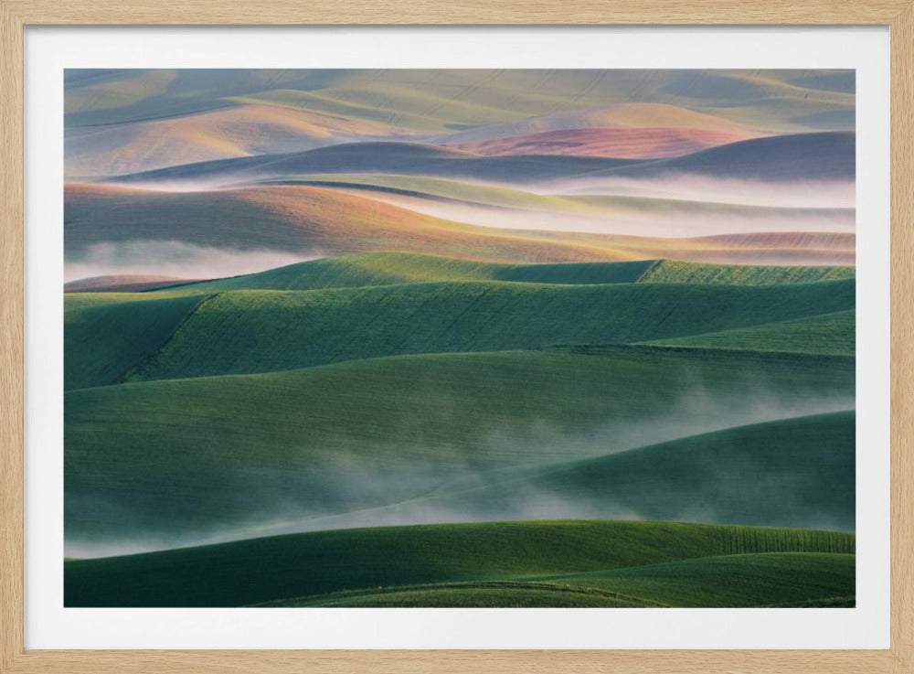 Foggy Morning | Poster