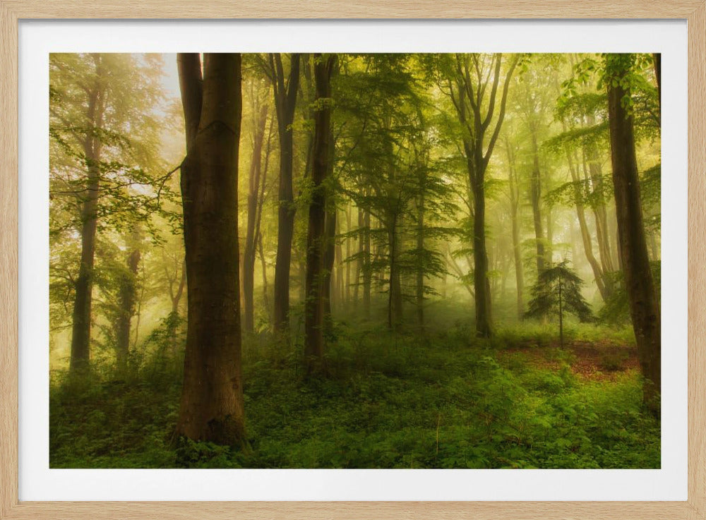 The little tree | Poster