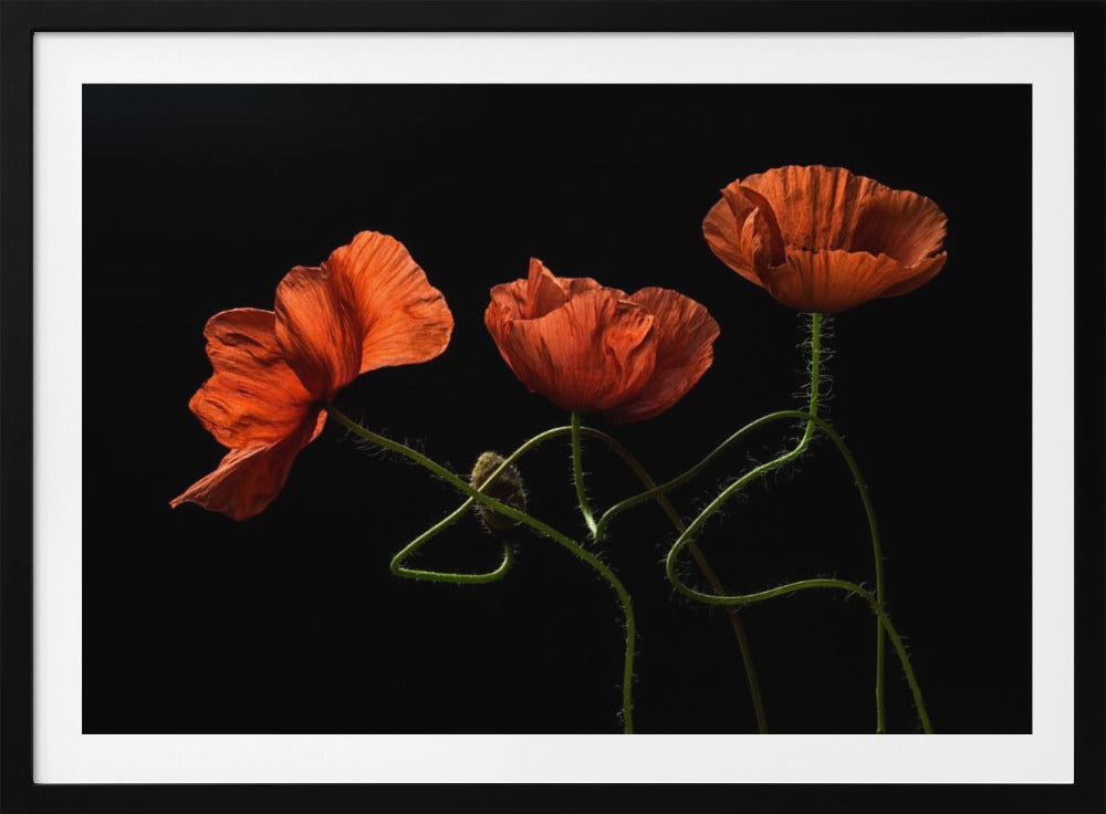 Around Midnight #2 | Poster