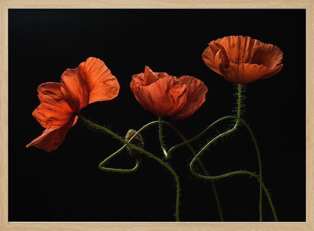 Around Midnight #2 | Poster