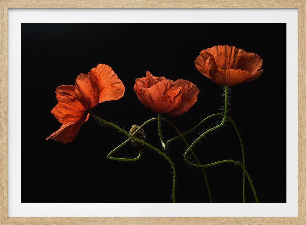 Around Midnight #2 | Poster