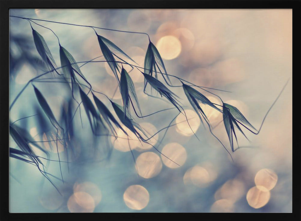 ...&lt;&lt;&lt; | Poster