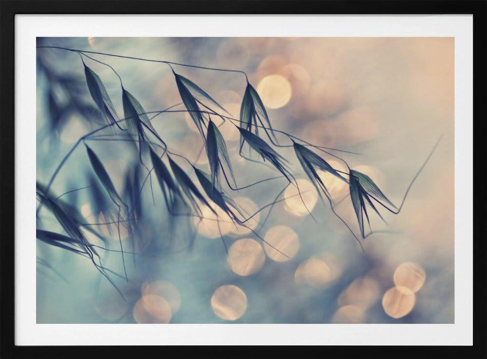 ...&lt;&lt;&lt; | Poster