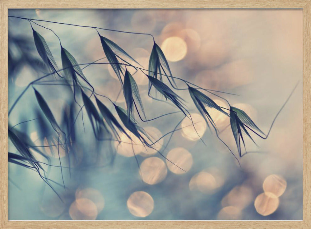 ...&lt;&lt;&lt; | Poster