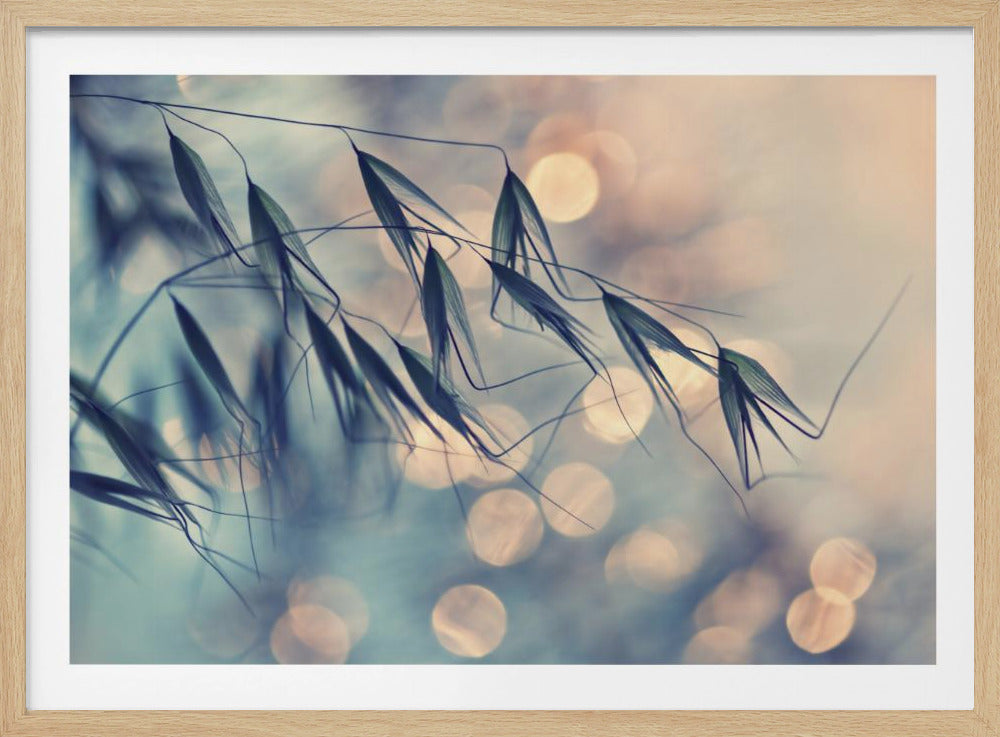 ...&lt;&lt;&lt; | Poster