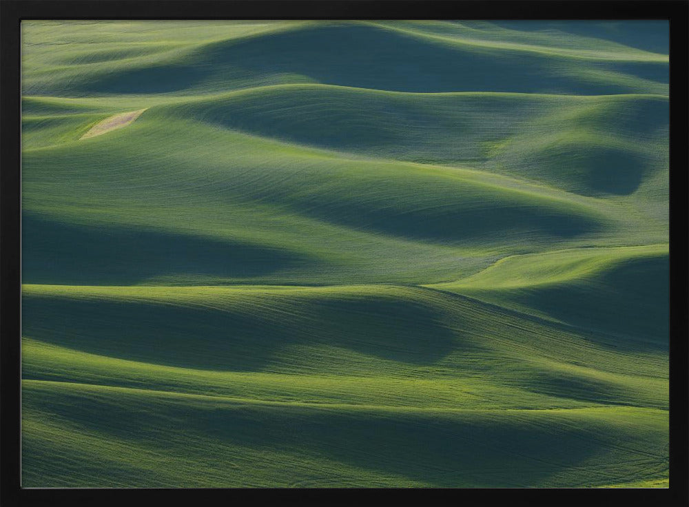 The Earth's Fine Skin | Poster