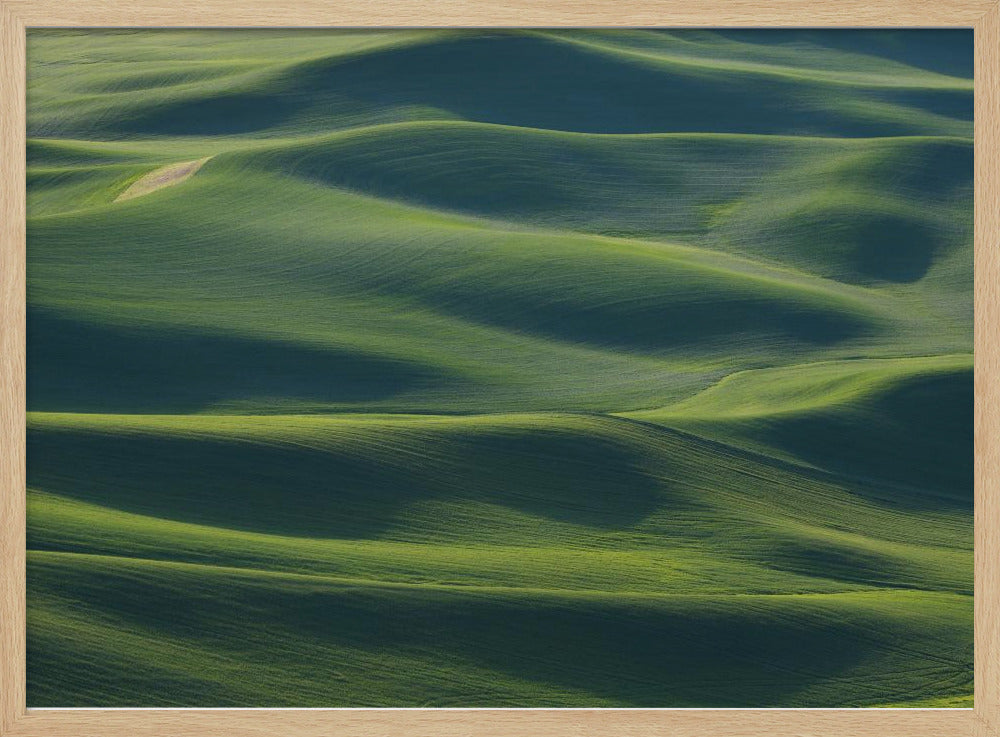 The Earth's Fine Skin | Poster