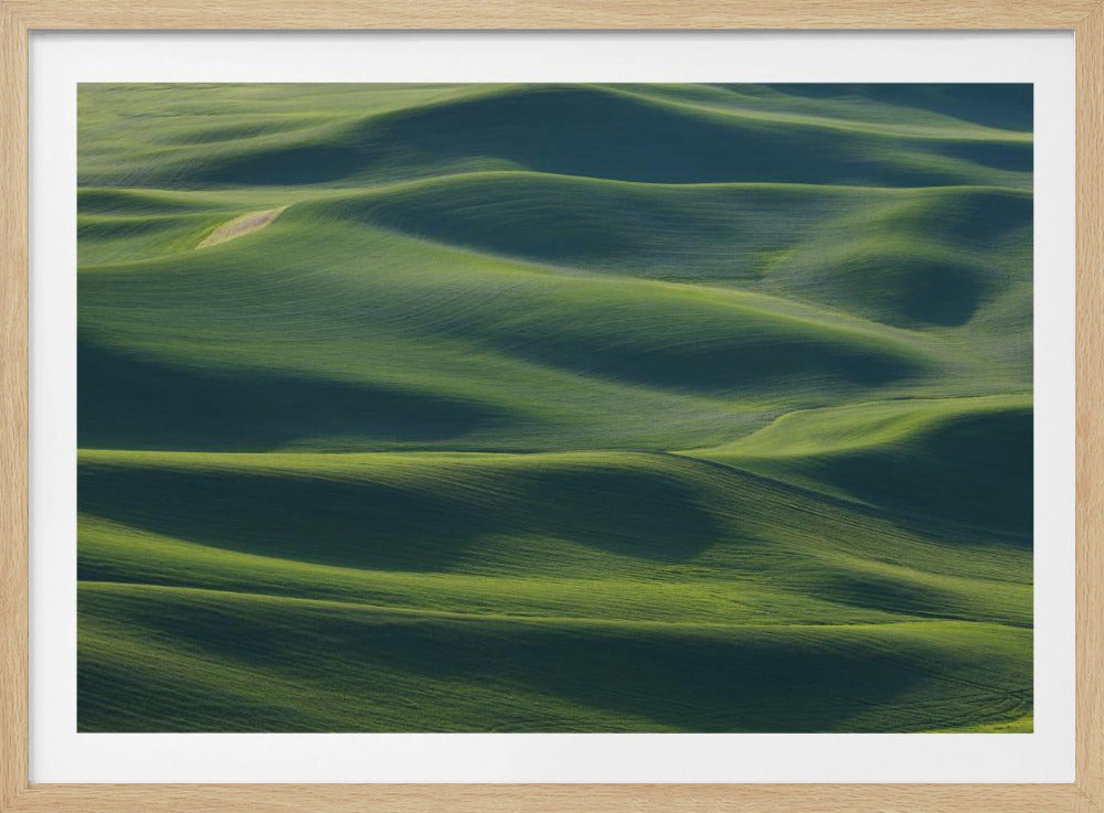 The Earth's Fine Skin | Poster