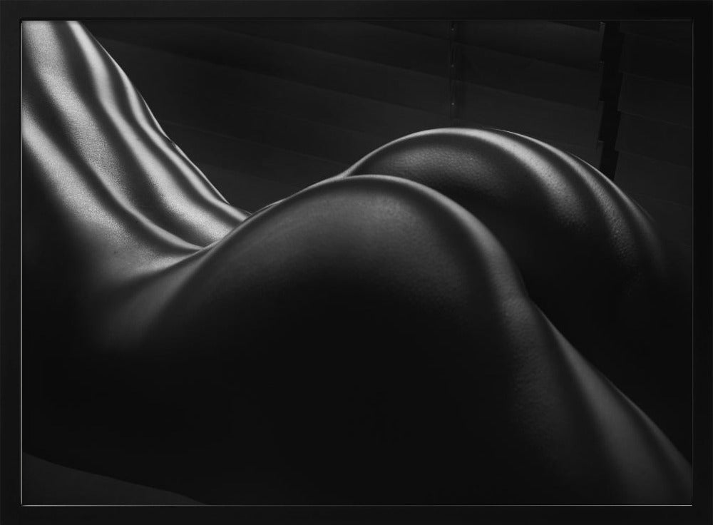 Body Zebra Stripes 5 | Poster