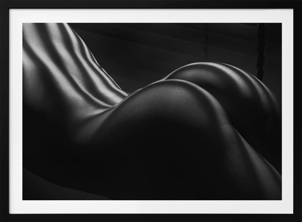 Body Zebra Stripes 5 | Poster