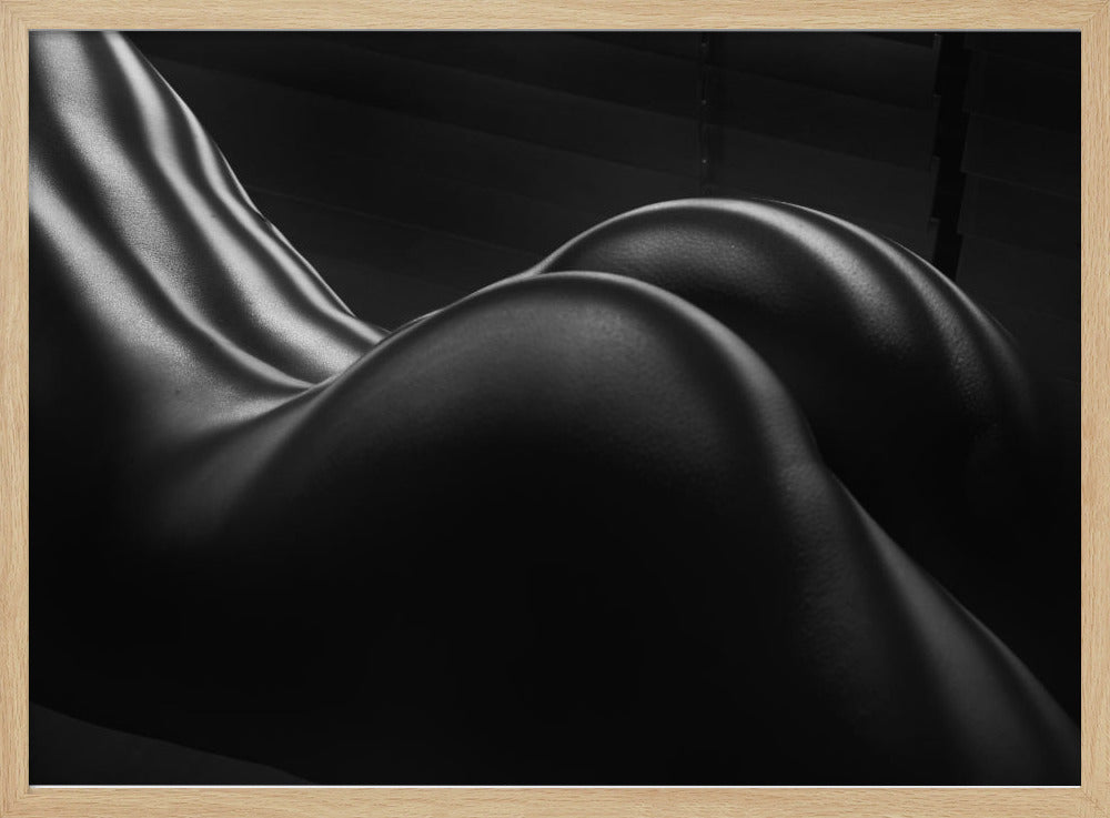 Body Zebra Stripes 5 | Poster