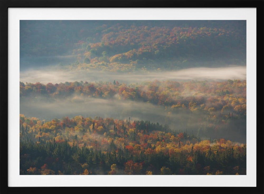 Misty Morning | Poster