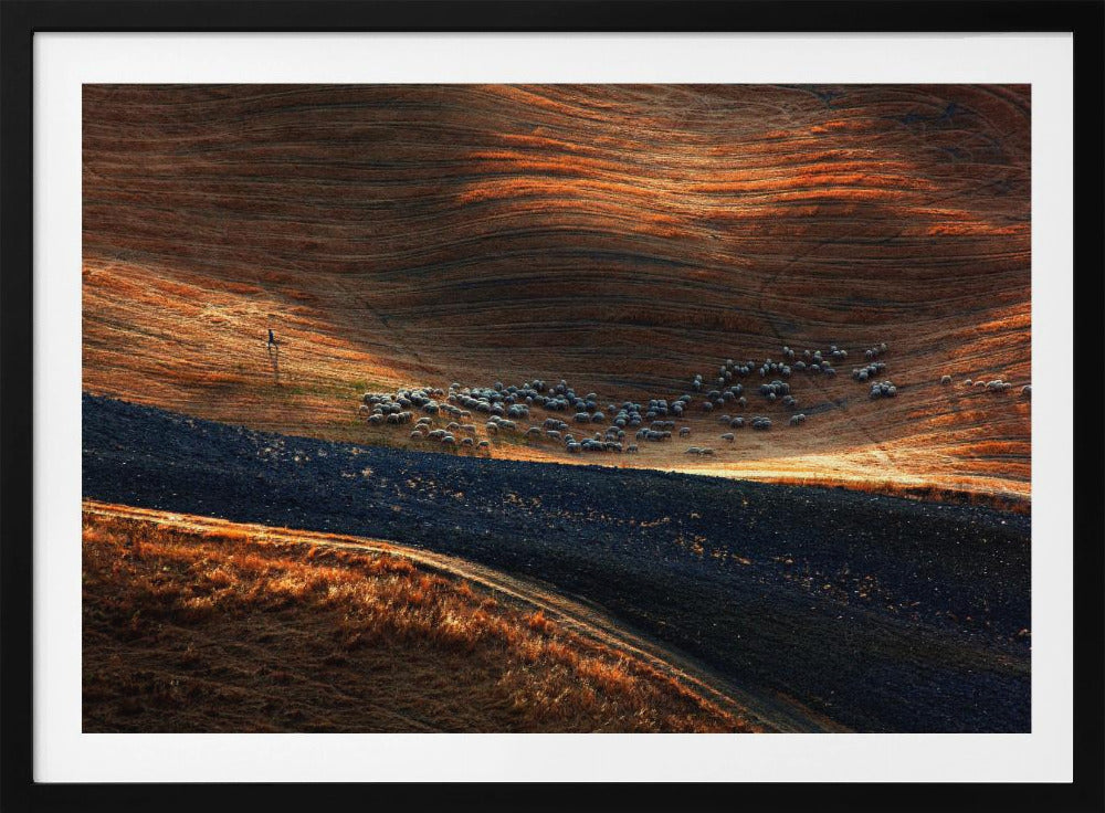 Il gregge 3 | Poster