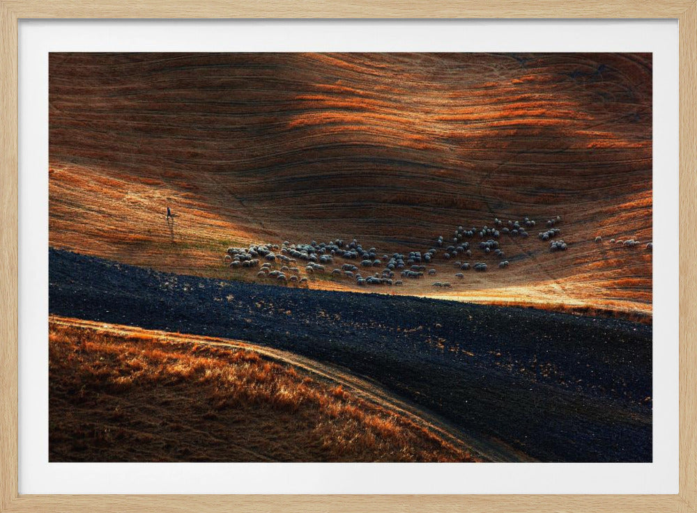 Il gregge 3 | Poster