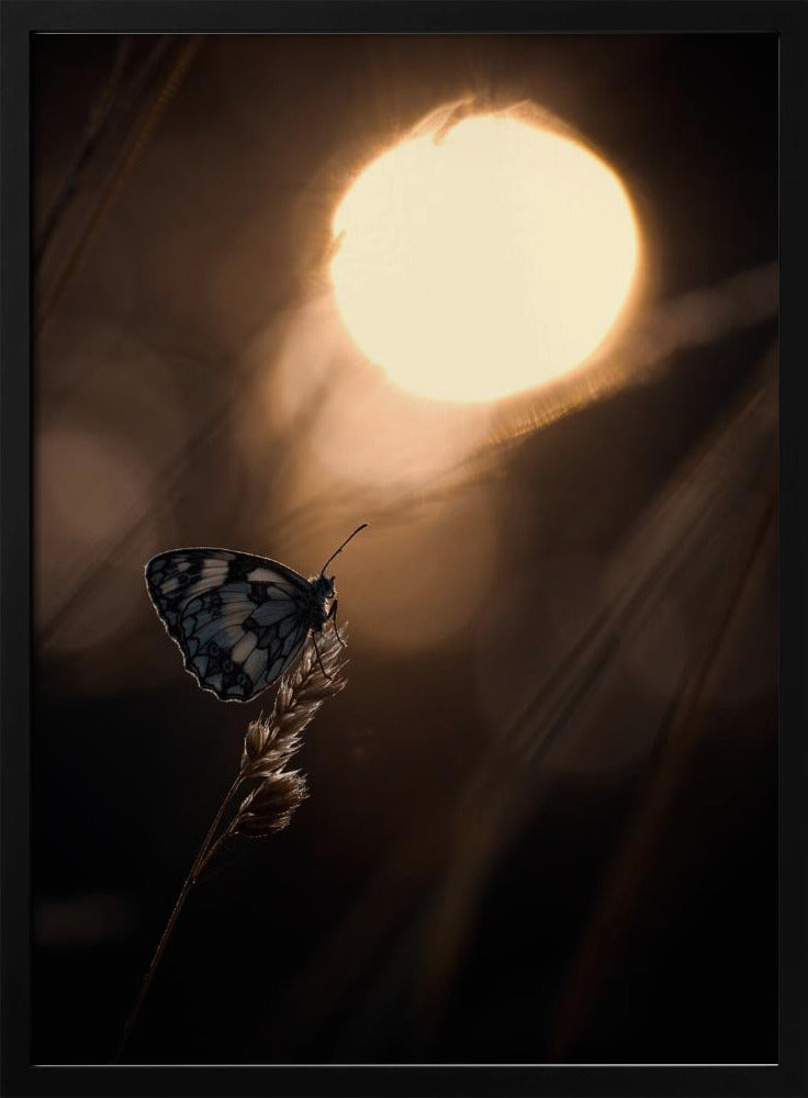 Communion avec les astres | Poster