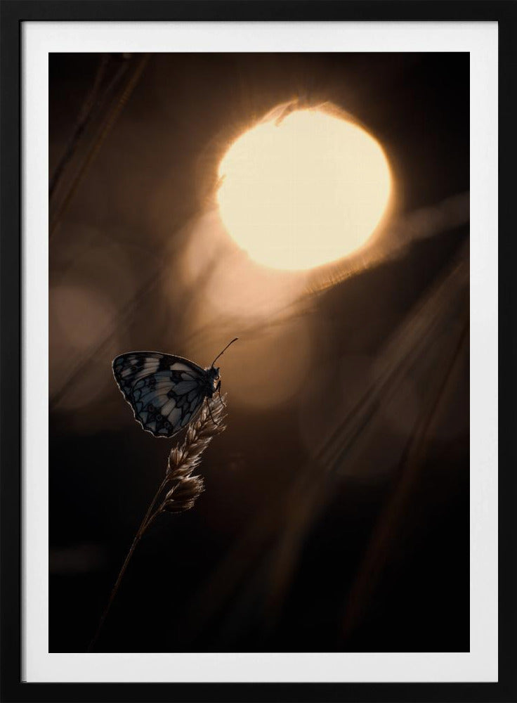 Communion avec les astres | Poster