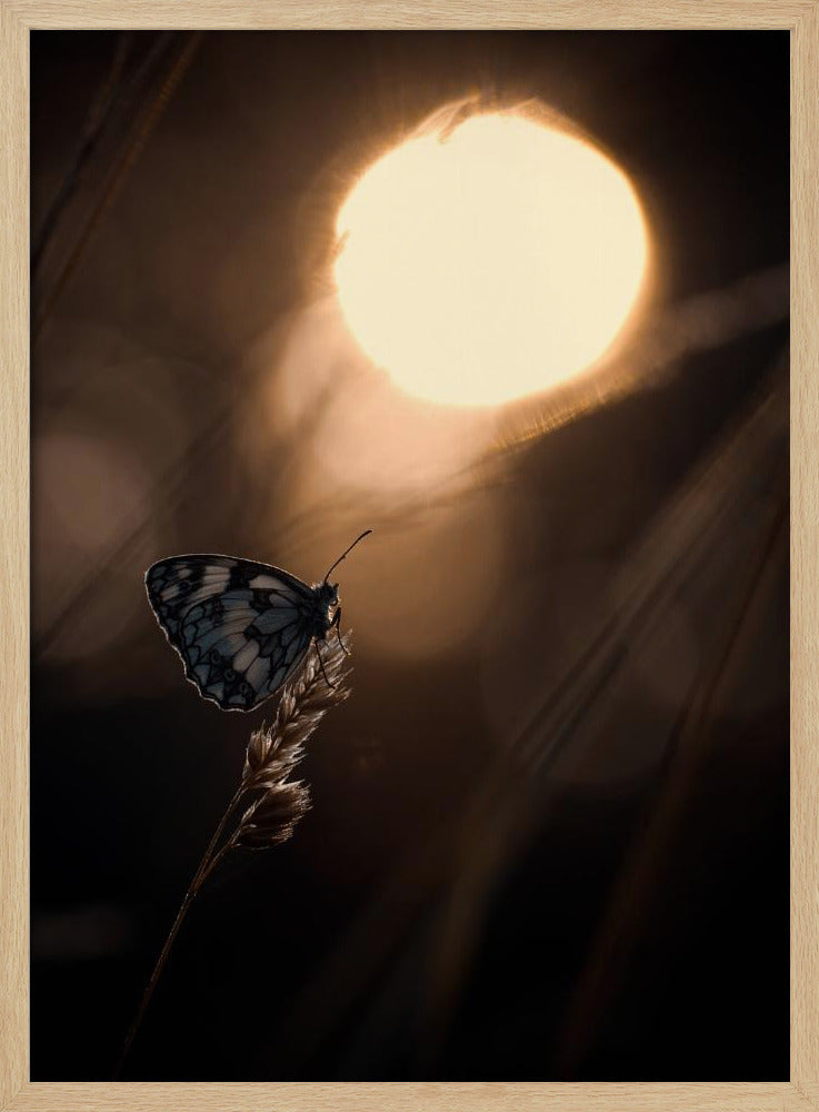 Communion avec les astres | Poster