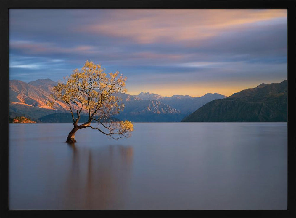 Morning Glow | Poster