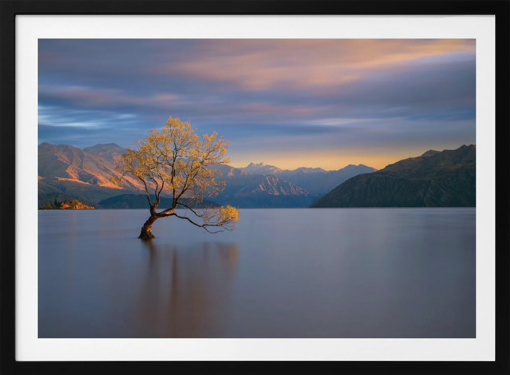 Morning Glow | Poster