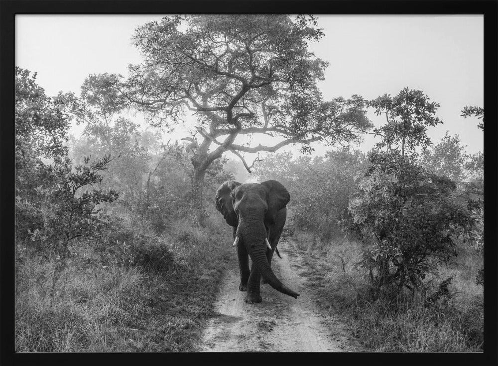 WALKING GIANT | Poster