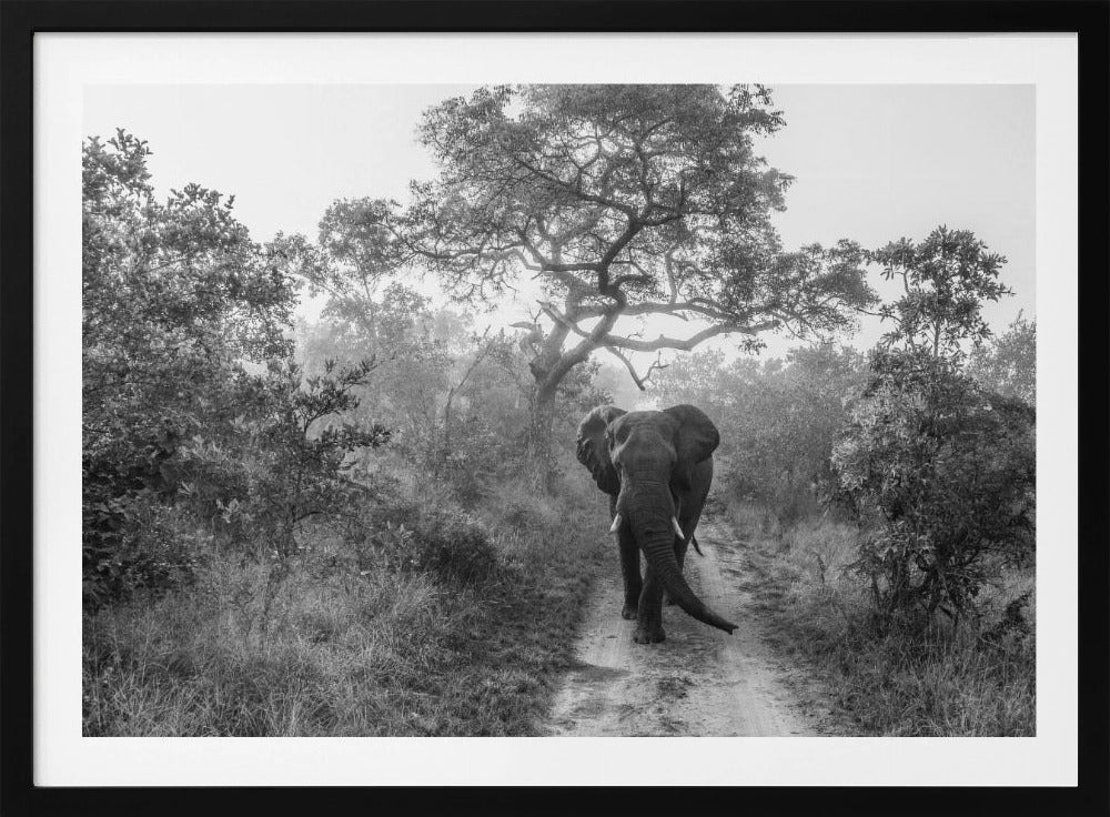 WALKING GIANT | Poster