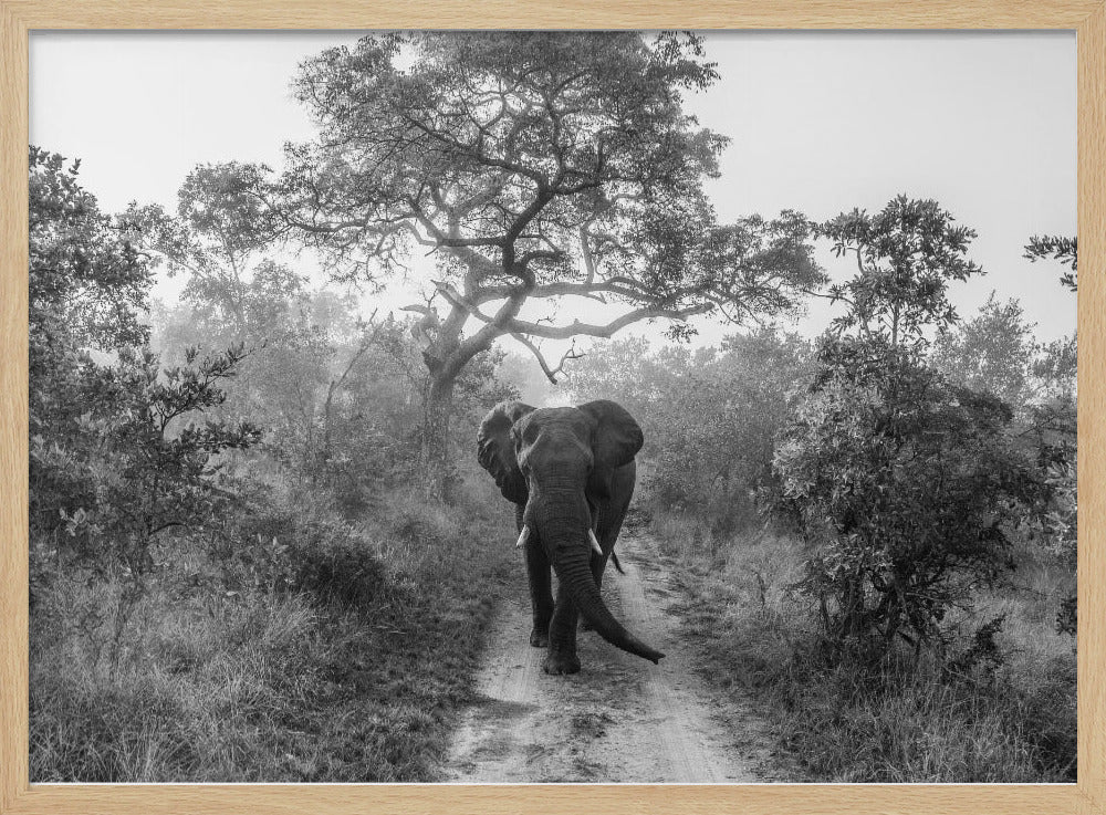 WALKING GIANT | Poster